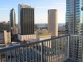 Tampa Downtown Partnership image 6