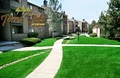 Terra Vista at The Park Apartments image 1