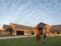 Texas A&M Veterinary Medicine image 1