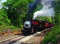 Texas State Railroad image 2