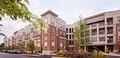 The Apartments at the Arboretum image 2