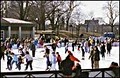 The Boston Common Frog Pond image 2