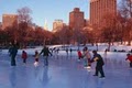 The Boston Common Frog Pond image 4