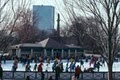 The Boston Common Frog Pond image 5