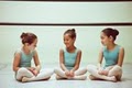 The Brookline Ballet School image 5