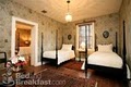 The Elms Bed And Breakfast image 3