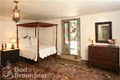 The Elms Bed And Breakfast image 5