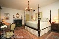 The Elms Bed And Breakfast image 7