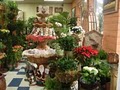The Green Fashion Florist & Plants Retail image 2