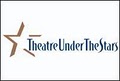 Theatre Under the Stars image 9