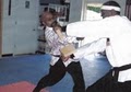 Tiger Chung's Tae Kwon DO image 4