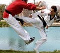 Tiger Chung's Tae Kwon DO image 7