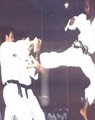 Tiger Chung's Tae Kwon DO logo