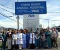 Toms River Animal Hospital logo