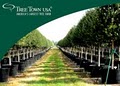 Tree Town USA image 4