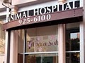 Tribeca-Soho Animal Hospital image 2