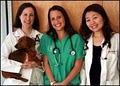 Tribeca-Soho Animal Hospital logo