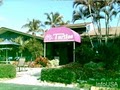 Turtles Restaurant On Little image 1