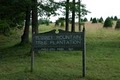 Tussey Mountain Tree Plantation logo