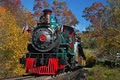 Tweetsie Railroad image 1