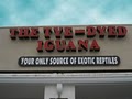 Tye-Dyed Iguana - Reptiles logo