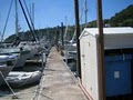 Tyee Marina image 8