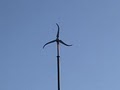 USA Wind Energy Corporation. image 8