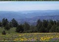 Umatilla National Forest image 3