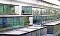Union Aquarium & Pet Supplies Inc image 2