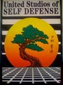 United Studios of Self Defense image 1