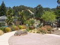 University of California Botanical Garden image 2