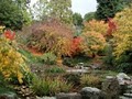 University of California Botanical Garden image 4