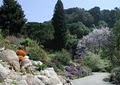 University of California Botanical Garden image 10