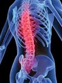Van Chiropractic/Pain Relief/Massage/Back Pain/Auto Accident/Auto Injury Clinic image 10