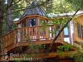 Vertical Horizons Treehouse Paradise image 3