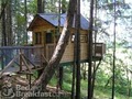 Vertical Horizons Treehouse Paradise image 5