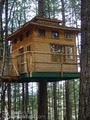 Vertical Horizons Treehouse Paradise image 9