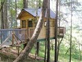 Vertical Horizons Treehouse Paradise image 10