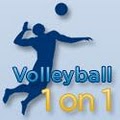 Volleyball1on1.com image 1