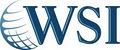 WSI - We Simplify the Internet logo
