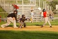 Warren Youth Baseball image 4