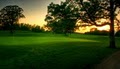 Wedgewood Cove Golf Club image 10