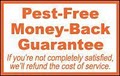 Western Termite & Pest Control image 5