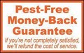 Western Termite & Pest Control image 5