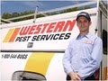 Western Termite & Pest Control image 1
