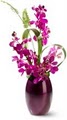 Wild Orchid logo