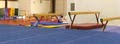 Win-Win Gymnastics image 1