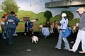 Woofs Dog Training image 6