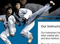 World Martial Arts Center image 5