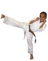 World of Martial Arts image 3